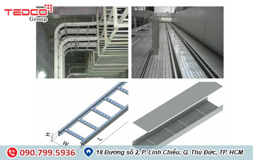 dac diem cua thang mang cap  dac diem cua thang mang cap